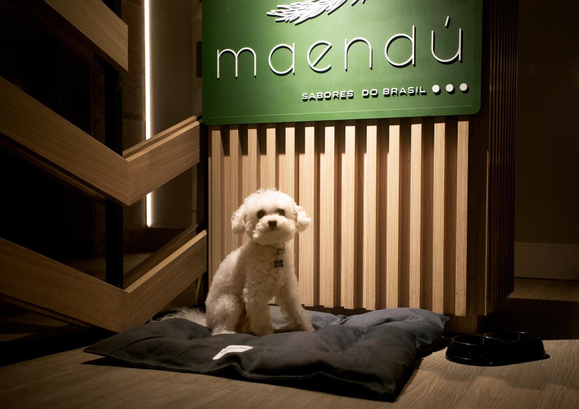 美居马塞约帕尤卡拉酒店 Maceió 外观 照片