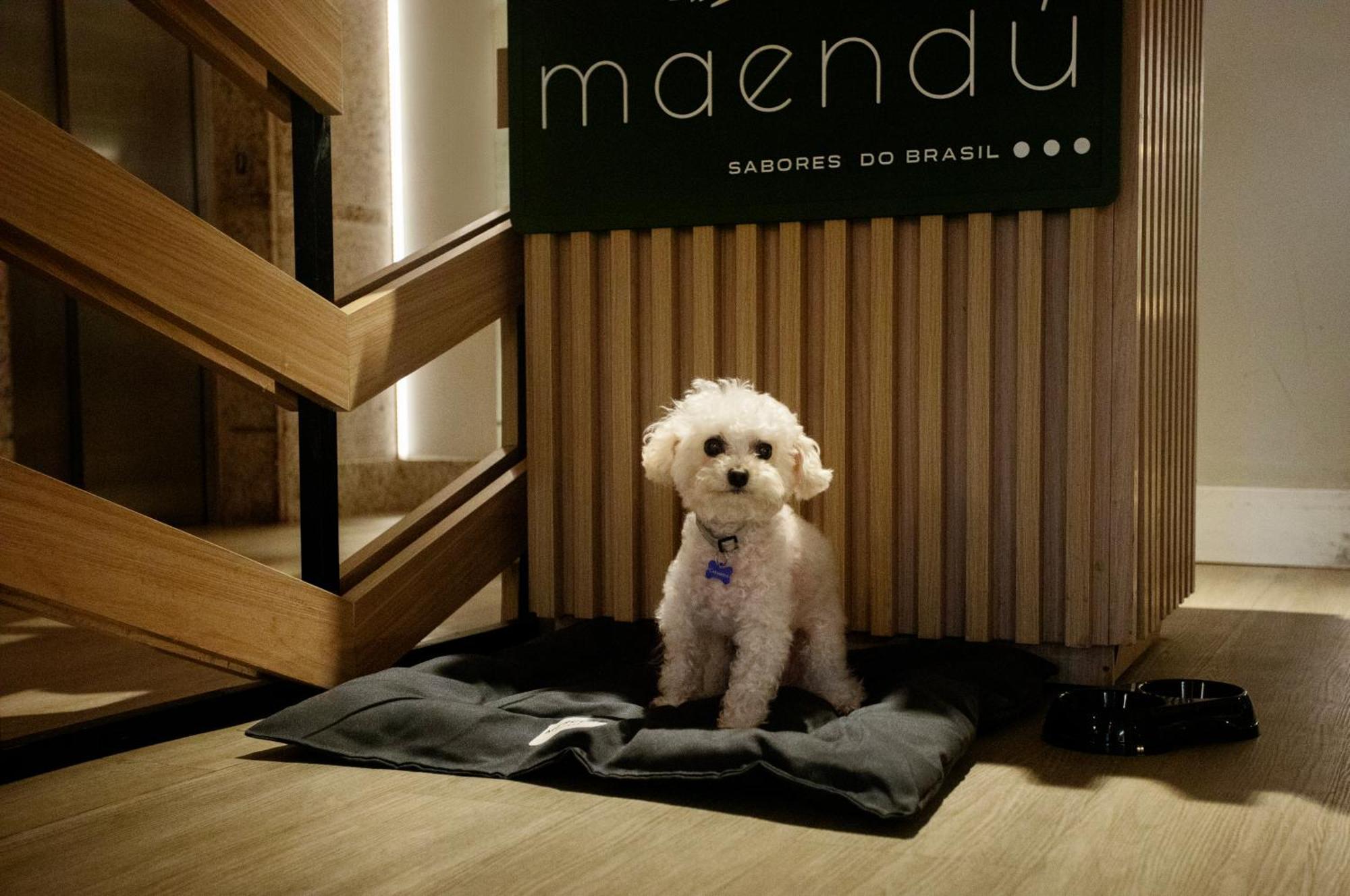 美居马塞约帕尤卡拉酒店 Maceió 外观 照片